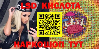 дмт Будённовск