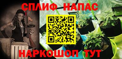 дмт Будённовск