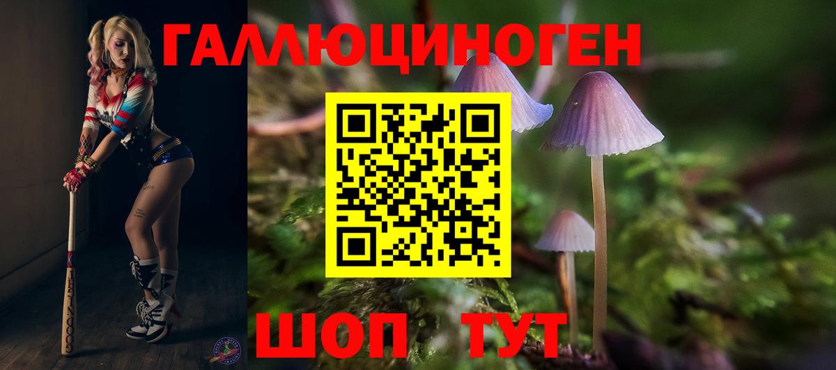 Галлюциногенные грибы MAGIC MUSHROOMS  Вход с VPN  купить наркоту  Пушкино 